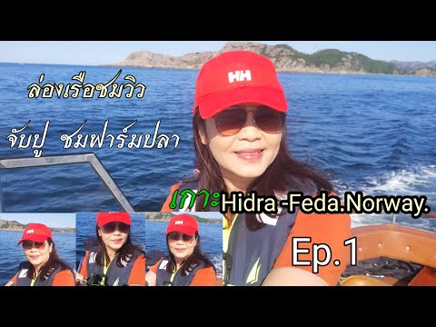 ล่องเรือชมวิว-Ep.1-จับปู-ดู ล่องเรือชมวิว-Ep.1-จับปู-ดู
