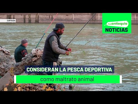 Consideran la pesca deportiva como maltrato animal - Teleantioquia Noticias