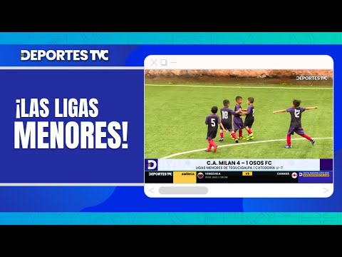 Actividad de la Jornada 8 categoría U-7 en la Ligas Menores en Tegucigalpa