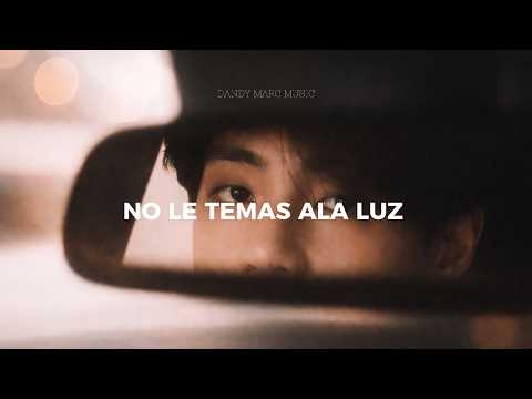 BTS - Like Animals // Sub. Español + Letras
