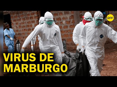¿Qué es el virus de Marburgo? Es una fiebre hemorrágica casi tan letal como el ébola
