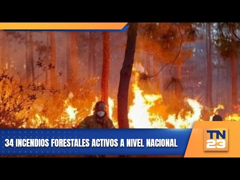 34 incendios forestales activos a nivel nacional