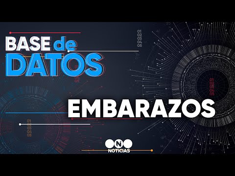BASE DE DATOS: EMBARAZOS  - #TelefeNoticias