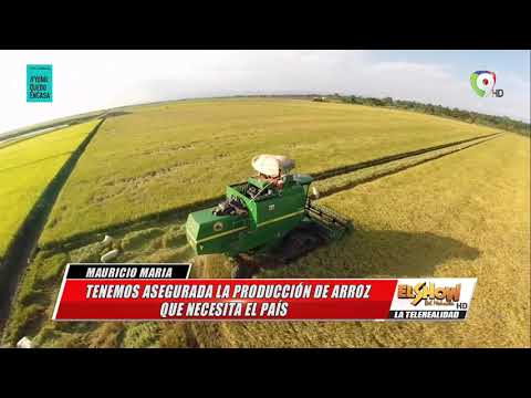Día del Agricultor  | Entrevista con  Expertos de la agriculturar | El Show del Mediodía