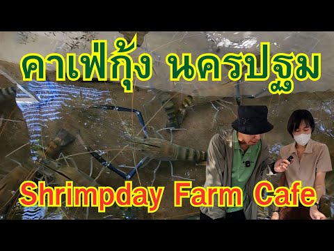 คาเฟ่กุ้งนครปฐมShimpdayFarm