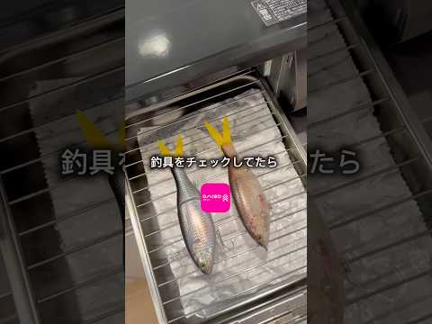 ダイソーからビッグベイトこれ300円はウソでしょ？#shorts