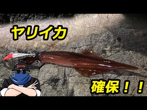 ゆるく釣ります！　その173 冬のヤリイカ釣行