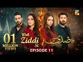 Woh Ziddi Si - Episode 11 - 18th October 2024 [ Aina Asif & Ali Abbas ] - HUM TV