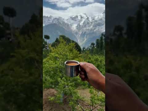 Kalpa Village : Where Chai, Maggi and breathtaking views collide 🌄🍜☕ @jd_foodie #nature #shorts