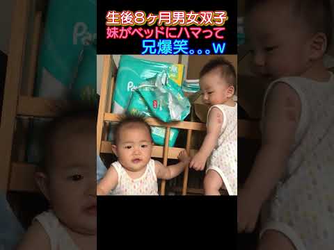 #妹がベッドにハマってるの見て爆笑する兄#赤ちゃん #baby #双子 #twins #取り合い #爆笑 #生後8ヶ月 #男女双子 #shorts