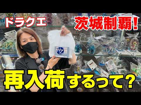【ドラクエ】茨城県でメタリック探し！ついに再入荷の兆しが…！？