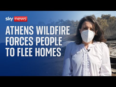 Athens wildfire: 'There is no home for him to go back to'