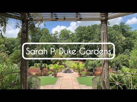 Sarah P. Duke Gardens Walkthrough | VLOG