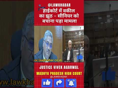 जूनियर वकील का झूठ पकड़ा, सीनियर को मांगनी पड़ी माफ़ी! #news #hindinews #justice #latestnews