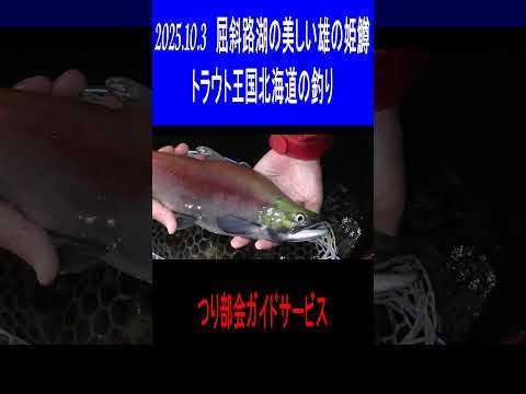 2025.10.3　屈斜路湖の美しい雄のヒメマス　トラウト王国北海道の釣り　つり部会ガイドサービス　＃屈斜路湖のヒメマス釣り