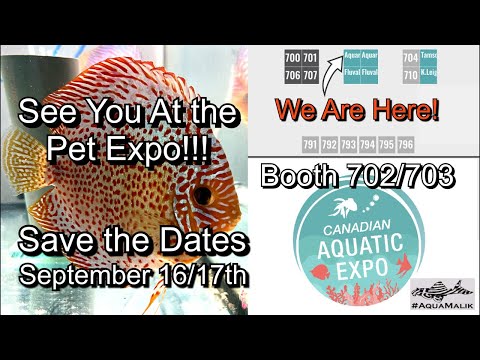 Come Buy Our Fish @ The Canadian Pet Expo!!! Save  Join this channel to get access to perks_
https_//www.youtube.com/channel/UCv3_3wHio3yMbwAbOp06blw/j
