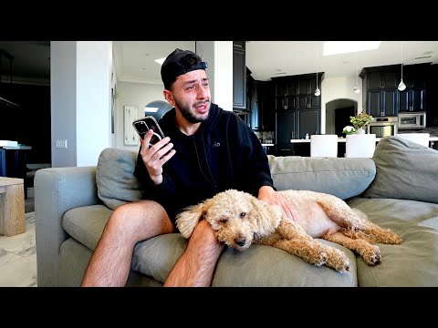 my dog has cancer.