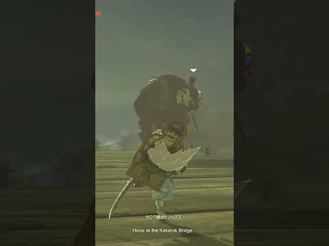 【ゼルダの伝説】カロク橋のヒノックス ゼルダの伝説ティアーズ オブ ザ キングダムNintendo Switch 2 Edition #shorts