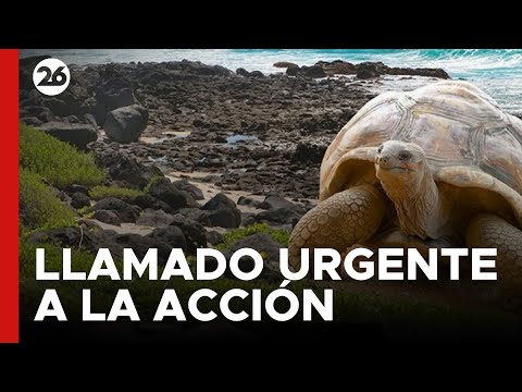 Galápagos, un llamado urgente a la acción | #26Global