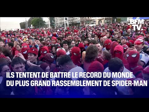 Ils tentent de battre le record du monde du plus grand rassemblement de Spider-Man