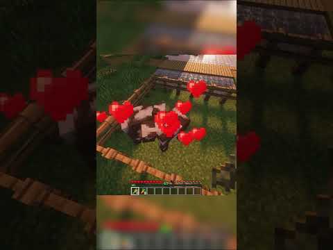 Đừng Cho Một Con Heo Ăn Nếu Như Bạn Không Muốn Điều Này #minecraft #minecraftshorts #shorts #memes