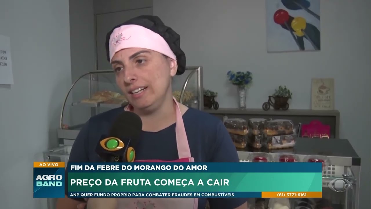Tempo de morangos: preço da fruta começa a cair