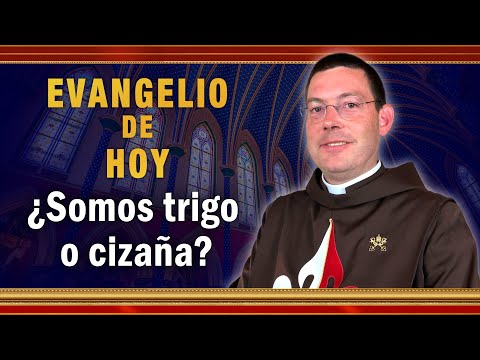 EVANGELIO DE HOY - Sábado 24 de Julio | ¿Somos trigo o cizaña #EvangeliodeHoy