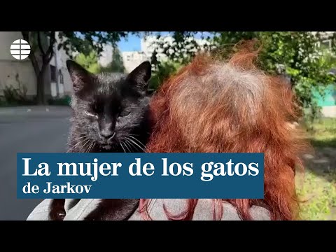 Una mujer ucraniana cuida de los gatos abandonados en Jarkov