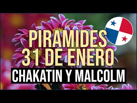 Pirámide Lotería de Panamá Miércoles 31 de Enero 2024  Pirámide de Chakatin y Malcolm Ramos