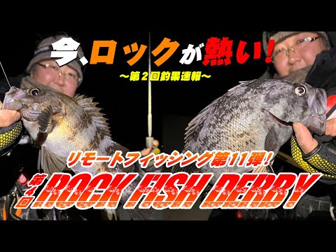 遂にロックフィッシュの季節が到来！第４回ロックフィッシュダービー！第２回釣果速報