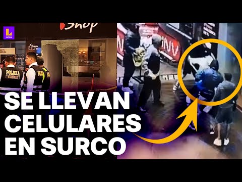 Delincuentes roban tienda en centro comercial de Surco: No hubo personal de seguridad