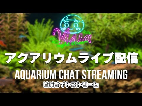 【22時配信】アクアリウム雑談配信 【ビバアクア】 #アクアリウム
