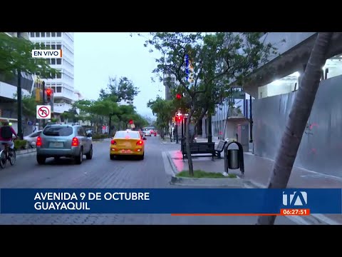 Árboles en el centro de Guayaquil obstaculizan señaléticas y semáforos
