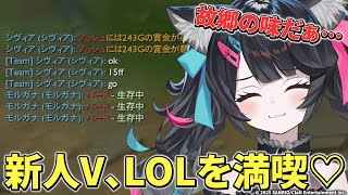 【League of Legends】超初心者さん向けにLOLの基本を解説しつつソロランク回してダイアを目指す✨【#lol #新人VTube