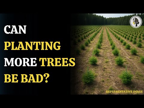 Tree Planting for Net Zero Risks Food Security | WION Podcast