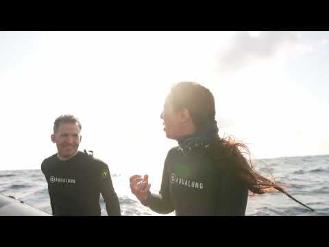Is Becoming a PADI Divemaster Worth It? A Master Instructor's Perspective