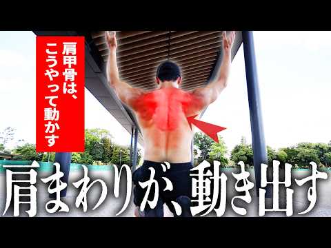 【やらなきゃ損】肩甲骨剥がし級 肩こり・姿勢改善に効くYTWLストレッチ｜