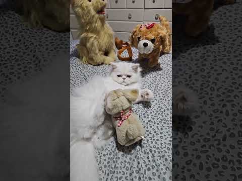 Feeding Time !!! is live!