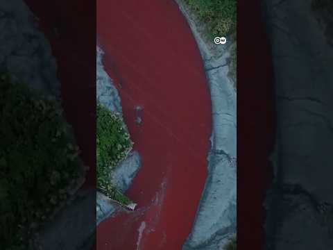River near Argentina's capital Buenos Aires turns red | DW News