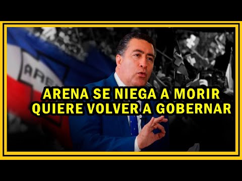 Portillo Cuadra niega el rechazo del pueblo a ARENA | USA no ha trabajado migración