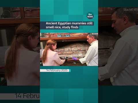 Ancient Egyptian mummies still smell nice, study finds