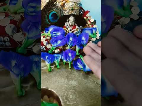 Radha Pyari Tere🦚🙏💚💚#radheradhenaam #ytshorts