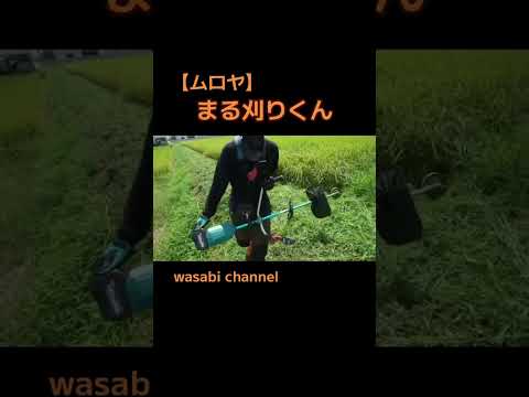 【粉砕】まる刈りくんをマキタ最強の電動草刈機に装着して草刈りしてみた結果【ムロヤ】 #草刈り #農業 #現代農業 #マキタ沼 #マキタ #makita