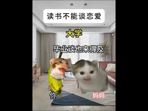 猫の動画サムネイル - 读书不能谈恋爱，但是毕业得结婚#有趣 #猫meme #猫meme剧场 #内容过于真实  #故事 #貓 #猫猫meme小剧场 #喵不可言