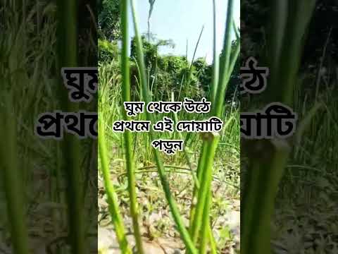 ঘুম থেকে উঠে এই দোয়াটি পড়ুন #shorts #shortsvideo #shortsviral #islam #foryou