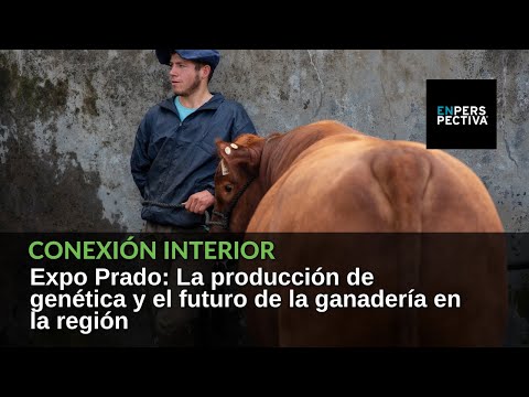 Expo Prado 2022: La producción de genética y el futuro de la ganadería en la región