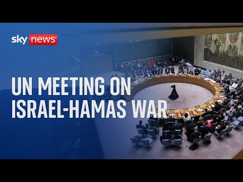 Watch live: United Nations meeting on the situation in the Middle East