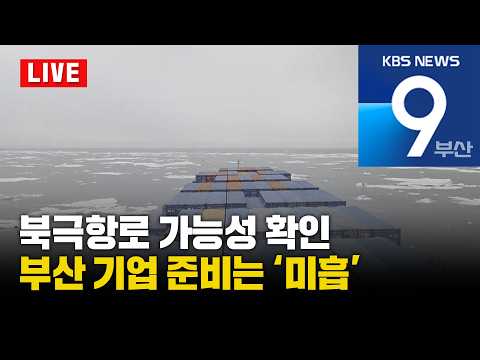 [LIVE] <strong>KBS</strong> <strong>뉴스9</strong> 부산 - 2026.10.11(일)