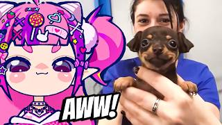 アイアンマウスがインターネット上で最も面白い犬のビデオに反応します。