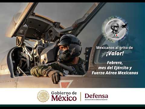 ¡10 de febrero, día de la Fuerza Aérea Mexicana!